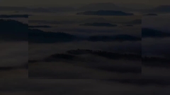 แนะนำ บริษัท